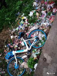 小区自行车爆料视频大全,揭秘日常生活中的温馨瞬间  第3张